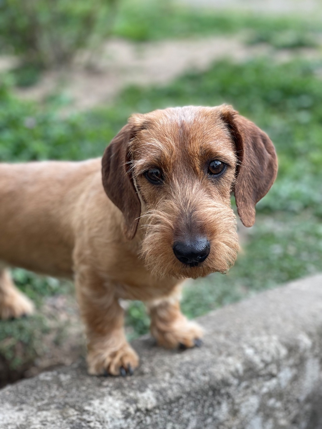URKA Du Domaine De Val'bonnieure